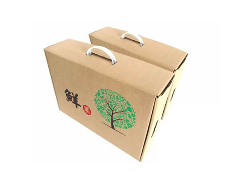 手提式水果礼盒